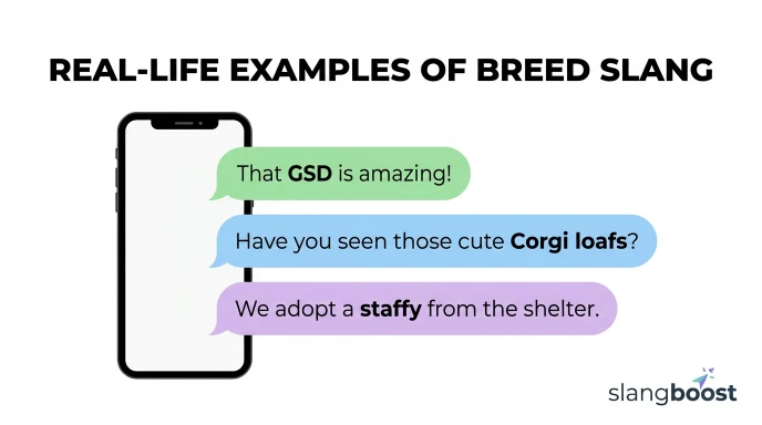 Real-Life Examples of Breed Slang