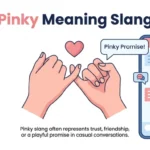 pinky meaning slang
