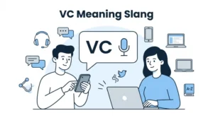 vc meaning slang