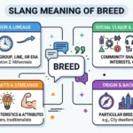 Breed Meaning Slang